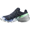 Ženska tekaška obutev Salomon 6 Gtx Carbon / Provence / White