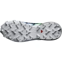 Ženska tekaška obutev Salomon 6 Gtx Carbon / Provence / White