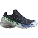 Ženska tekaška obutev Salomon 6 Gtx Carbon / Provence / White