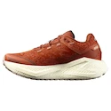 Ženska tekaška obutev Salomon Aero Glide 3 GRVL Burnt Ochre/Vanilla Ice/Etherea