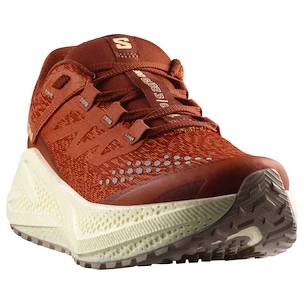 Ženska tekaška obutev Salomon Aero Glide 3 GRVL Burnt Ochre/Vanilla Ice/Etherea