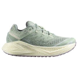 Ženska tekaška obutev Salomon Aero Glide 3 GRVL Sea Foam/Vanilla Ice/Nirvana