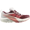 Ženska tekaška obutev Salomon GTX W Syrah/Vanila/Pea  UK 5