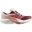Ženska tekaška obutev Salomon GTX W Syrah/Vanila/Pea  UK 5