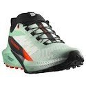 Ženska tekaška obutev Salomon Sense Ride 5 Bay/Black/Cherry Tomato