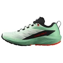 Ženska tekaška obutev Salomon Sense Ride 5 Bay/Black/Cherry Tomato