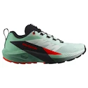 Ženska tekaška obutev Salomon Sense Ride 5 Bay/Black/Cherry Tomato