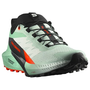 Ženska tekaška obutev Salomon Sense Ride 5 Bay/Black/Cherry Tomato