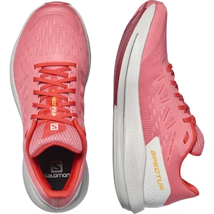 Ženska tekaška obutev Salomon W Tea Rose/Lunar Rock