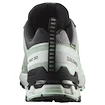 Ženska tekaška obutev Salomon Xa Pro 3D V9 Gore-Tex Quiet Shade/Lily Pad/Blue Haze