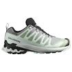 Ženska tekaška obutev Salomon Xa Pro 3D V9 Gore-Tex Quiet Shade/Lily Pad/Blue Haze