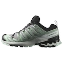 Ženska tekaška obutev Salomon Xa Pro 3D V9 Gore-Tex Quiet Shade/Lily Pad/Blue Haze
