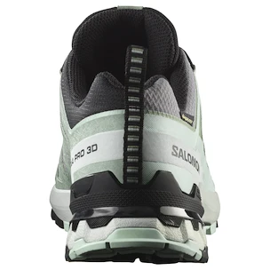 Ženska tekaška obutev Salomon Xa Pro 3D V9 Gore-Tex Quiet Shade/Lily Pad/Blue Haze