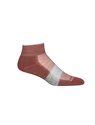 Ženske nogavice Icebreaker  Multisport Light Mini Grape/Haze/Blizzard