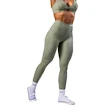 Ženske pajkice Nebbia V-Cut Lace-Up Sculpting Leggings OWN YOUR POWER 426 light green