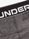 Ženske pajkice Under Armour CG Authentics Legging-GRY