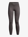 Ženske pajkice Under Armour CG Authentics Legging-GRY