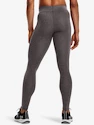 Ženske pajkice Under Armour CG Authentics Legging-GRY