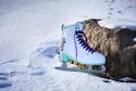 Ženske zimske drsalke Powerslide  Chaya Classic White